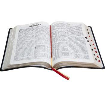 BIBLIA AEC LETRA GIGANTE CAPA PU FLORES - SALMAO - SEARA LIVRARIA