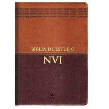 Bíblia – Nvi – Bilingue Português-Inglês – Marrom – Rema Livraria Evangélica