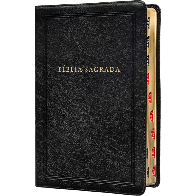 Bíblia Leitura Perfeita - Letra Grande - Kjc - Luxo - Preta - Com Índice