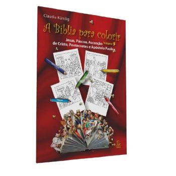Bíblia Para Colorir, A - Volume 5 - Claudia Kündig