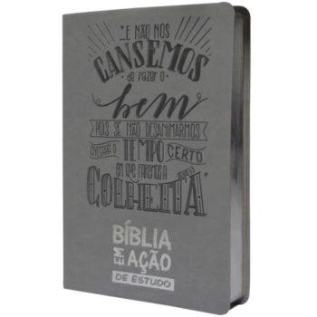Bíblia Em Ação De Estudo - Capa Luxo - Cinza