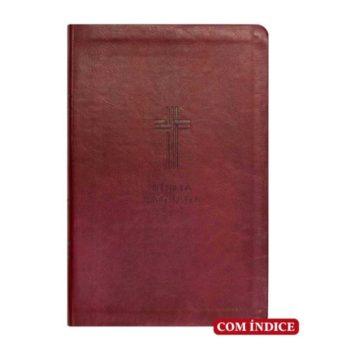 Bíblia - Nvi - Com Mapas Mentais - Letra Gigante - Vinho - Com Índice
