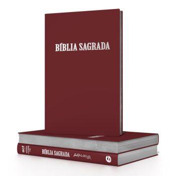 Bíblia - Acf - Luxo - Letra Normal - Rose