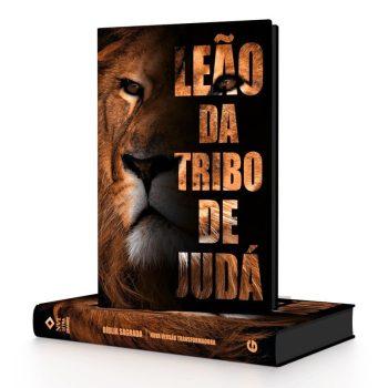 Bíblia - Nvt - Letra Grande - Semi Luxo - Caminho Da Salvação